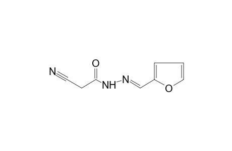 Cyanoacetic acid, furfurylidenehydrazide