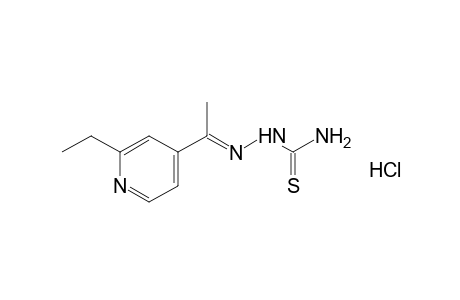 2-ethyl-4-pyridyl methyl ketone, thiosemicarbazone, hydrochloride