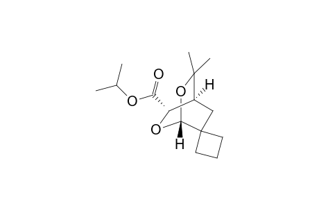 (1R,4S,5S)-Isopropyl 3,3-dimethyl-2,6-dioxaspiro[bicyclo[2.2.2]octane-2,1'-cyclobutane]-5-carboxylate