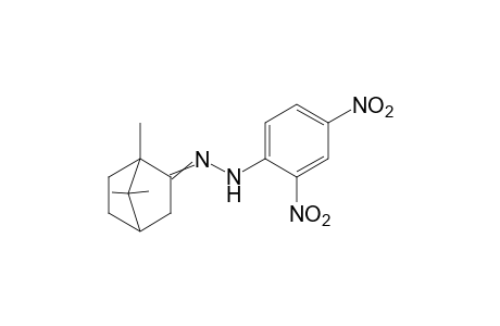 camphor, (2,4-dinitrophenyl)hydrazone