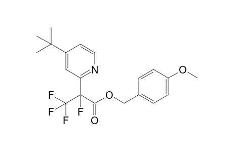 p-Methoxybenzyl 2-[4'-(t-butyl)pyridin-2'-yl]perfluoropropionate