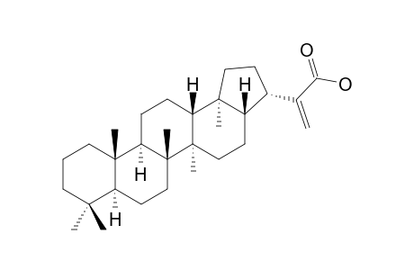 22(30)-HOPEN-29-OIC ACID