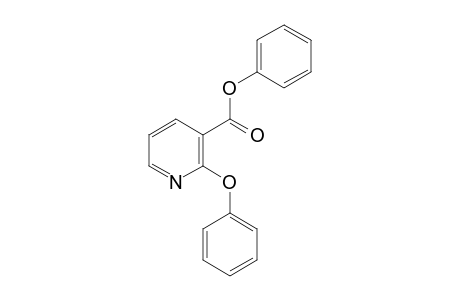 2-phenoxynicotinic acid, phenyl ester