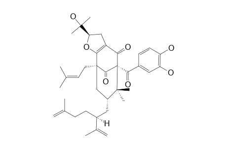 GARCINIELLIPTONE_FB;8,8-DIMETHYL-1-(3,4-DIHYDROXYBENZOYL)-3,4-[2-BETA-(2-HYDROXYISOPROPYL)-2,3-DIHYDROFURANO]-5-(GAMMA,GAMMA-DIMETHYLALLYL)-7-(2-