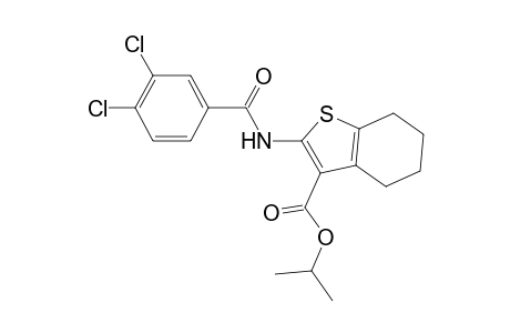 Isopropyl 2-[(3,4-dichlorobenzoyl)amino]-4,5,6,7-tetrahydro-1-benzothiophene-3-carboxylate