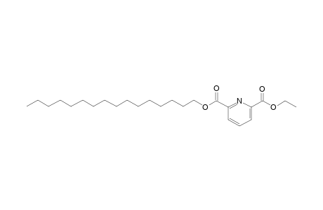 2,6-Pyridinedicarboxylic acid, ethyl hexadecyl ester