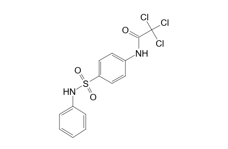 4'-(phenylsulfamoyl)-2,2,2-trichloroacetanilide