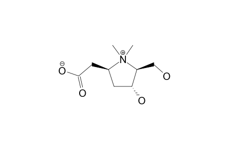 5-BETA-CARBOXYMETHYL-3-ALPHA-HYDROXY-2-BETA-HYDROXYMETHYL-1,1-DIMETHYLPYRROLIDINE