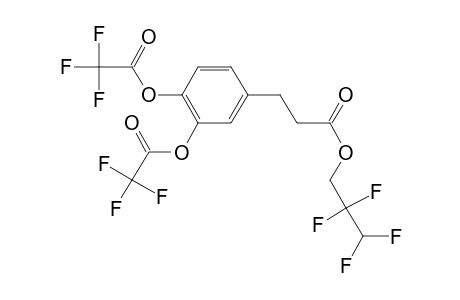 3,4-Dihydroxyhydrocinnamic acid, o,o'-bis(trifluoroacetyl)-, 2,2,3,3-tetrafluoro-1-propyl ester