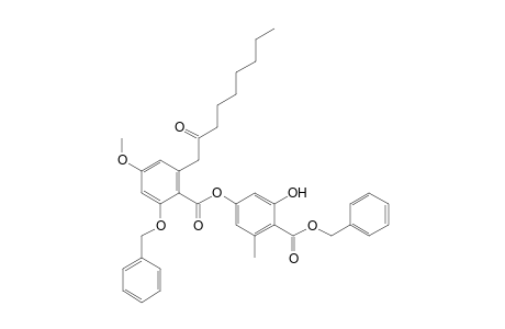 benzyl 2'-O-benzylisopatagonate