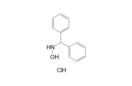 N-(DIPHENYLMETHYL)HYDROXYLAMINE, HYDROCHLORIDE