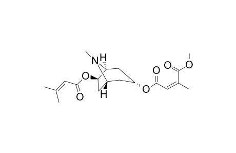 3.alpha.-(1-Methylcitraconyl)-6.beta.-senecioyloxytropane