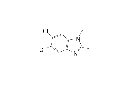 5,6-dichloro-1,2-dimethylbenzimidazole