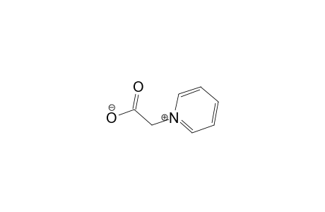 C5H5N(CH2)COO;1-(OMEGA-CARBOXYMETHYL)-PYRIDINIUM