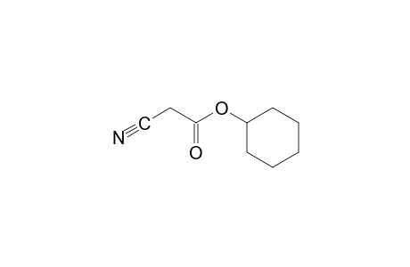 Cyano-acetic acid, cyclohexyl ester