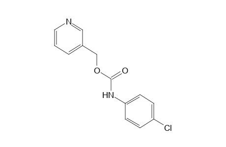 p-chlorocarbanilic acid, 3-pyridylmethyl ester