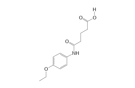 4'-ethoxyglutaranilic acid
