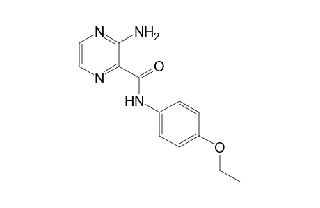 3-aminopyrazinecarboxy-p-phenetidide