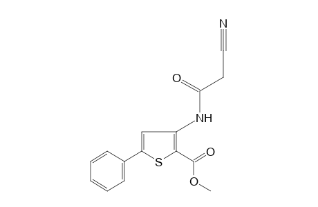 3-(2-cyanoacetamido)-5-phenyl-2-thiophenecarboxylic acid, methyl ester