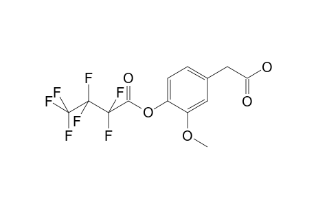 Homovanillic acid HFB               @