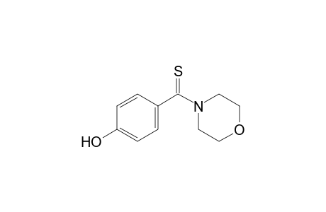 4-[p-Hydroxy(thiobenzoyl)]morpholine