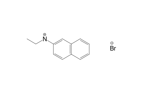 N-ethyl-2-naphthylamine, hydrobromide