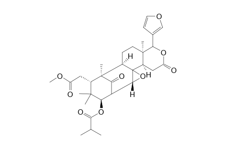 Ruagenin A