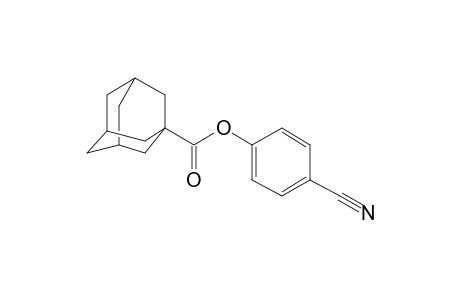 1-Adamantanecarboxylic acid, 4-cyanophenyl ester