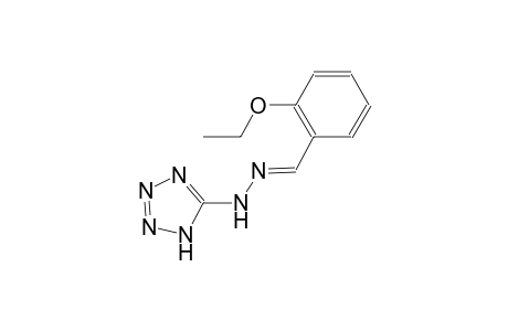 2-ethoxybenzaldehyde 1H-tetraazol-5-ylhydrazone