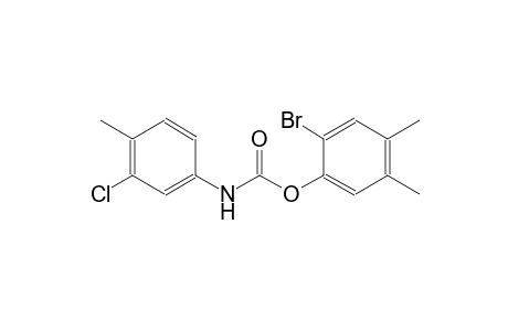 3-chloro-4-methylcarbanilic acid, 6-bromo-3,4-xylyl ester