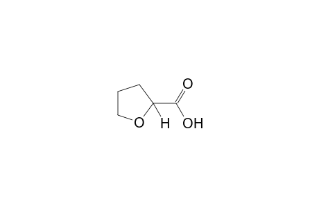 Tetrahydro-2-furancarboxylic acid