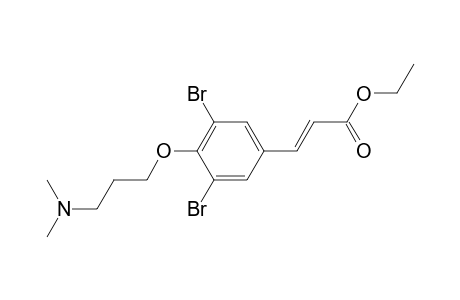 3,5-Dibromo-4-(3'-N,N-dimethyl-aminopropyloxy)-cinnamic acid, ethyl ester