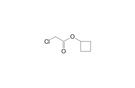 Chloroacetic acid, cyclobutyl ester