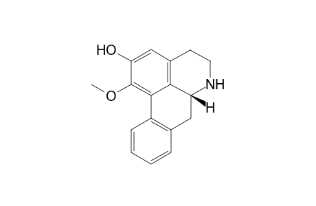 Asimilobine