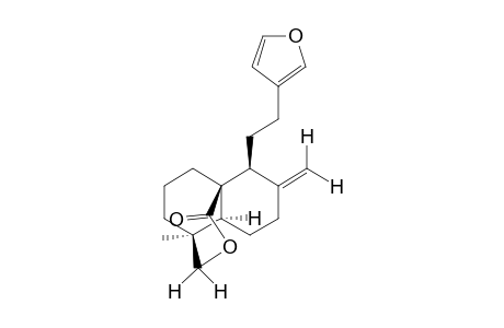 15,16-epoxy-19-hydroxylabda-8(20), 13(16), 14-trien-17-oic acid, delta-lactone