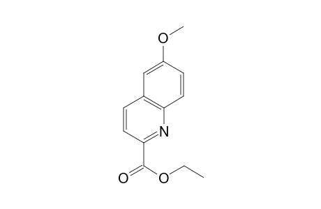 Ethyl 6-methoxyquinoline-2-carboxylate