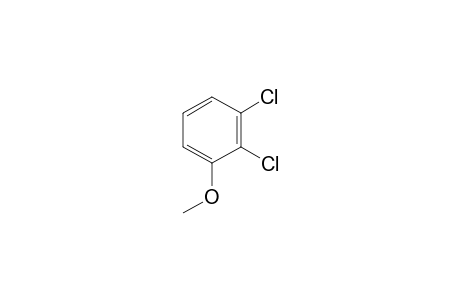 2,3-Dichloroanisole