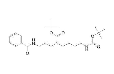 TERT.-BUTYL-N-[3-(BENZAMIDO)-PROPYL]-N-{4-{[(TERT.-BUTYLOXY)-CARBONYL]-AMINO}-BUTYL}-CARBAMATE