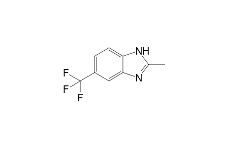 2-Methyl-5-(trifluoromethyl)-1H-benzimidazole