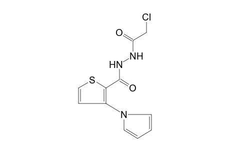 1-(chloroacetyl)-2-[3-(pyrrol-1-yl)-2-thenoyl]hydrazine