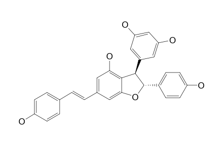 GNETIN-C