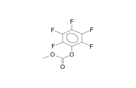 METHOXYCARBONYLOXYPENTAFLUOROBENZENE