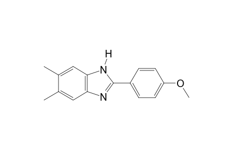 5,6-dimethyl-2-(p-methoxyphenyl)benzimidazole