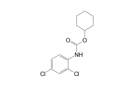 2,4-dichlorocarbanilic acid, cyclohexyl ester