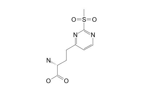 (S)-GAMMA-(2-METHYLSULFONYLPYRIMIDIN-4-YL)-ALPHA-AMINOBUTYRIC-ACID