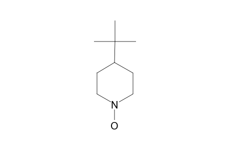 4-tert-Butyl-1-hydroxy-piperidine