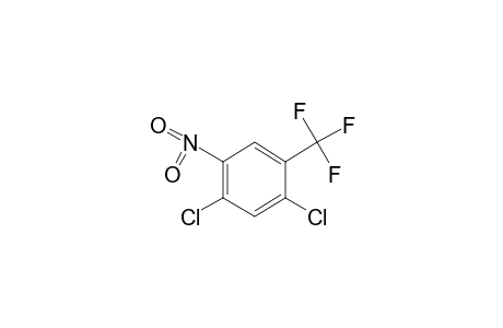 2,4-DICHLORO-5-NITRO-alpha,alpha,alpha-TRIFLUOROTOLUENE