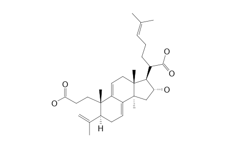 PORICOIC-ACID-B