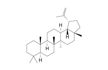 Lup-20(29)-ene