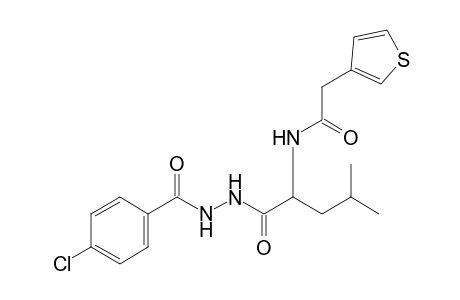 1-(p-chlorobenzoyl)-2-{N-[(3-thienyl)acetyl]leucyl}hydrazine